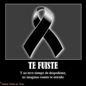 Meet your Posher, Bruno gmb